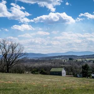 Photo #1 of Lot A CHURCH ST, TIMBERVILLE, VA 10.2 acres