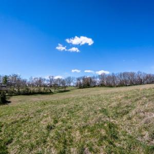 Photo #5 of Lot A CHURCH ST, TIMBERVILLE, VA 10.2 acres