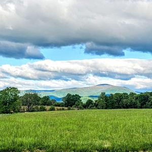 Photo #7 of Lot 20 SUNSET RIDGE, RUCKERSVILLE, VA 10.2 acres