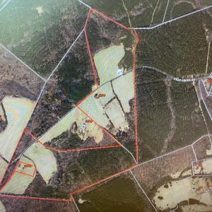 Photo #1 of DEEP CREEK RD, KENTS STORE, VA 148.9 acres