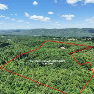 Photo #1 of TBD MCGUFFIN RD, WARM SPRINGS, VA 75.9 acres