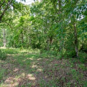 Photo #13 of 483 SPRING RD, BREMO BLUFF, VA 31.1 acres