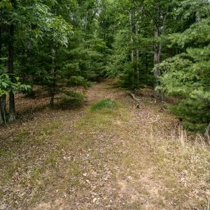 Photo #21 of 21071 BENNETT RUN RD, BERGTON, VA 68.3 acres