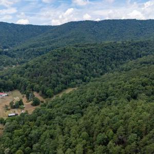 Photo #8 of 22590 CRIDERS RD, CRIDERS, VA 210.6 acres