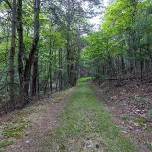 Photo #65 of 22590 CRIDERS RD, CRIDERS, VA 210.6 acres