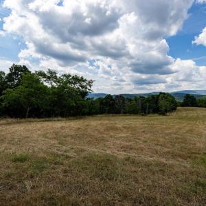 Photo #36 of 22590 CRIDERS RD, CRIDERS, VA 210.6 acres