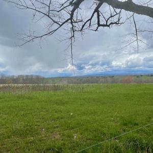 Photo #5 of 2420 ZULLA, THE PLAINS, VA 227.0 acres