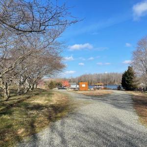 Photo #10 of SECLUSION SHORES DR, MINERAL, VA 0.9 acres