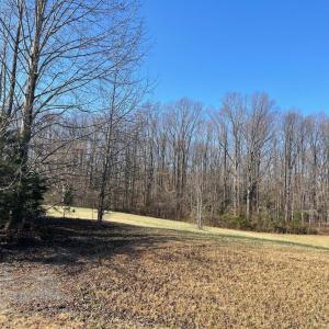 Photo #8 of SECLUSION SHORES DR, MINERAL, VA 0.9 acres