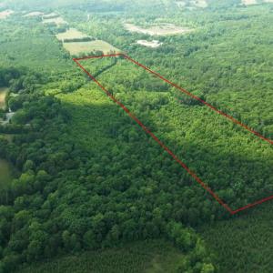Photo #4 of SMITH RD, MINERAL, VA 25.0 acres
