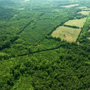 Photo #8 of SMITH RD, MINERAL, VA 25.0 acres