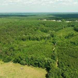 Photo #17 of SMITH RD, MINERAL, VA 25.0 acres