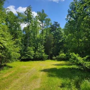 Photo #1 of MAPLE BOTTOM DR, UNIONVILLE, VA 45.2 acres