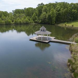 Pond View