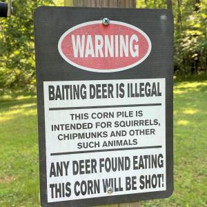 Deer  Beware