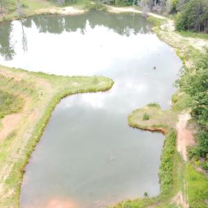 Stocked Pond