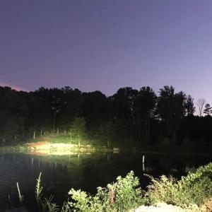 night on the pond