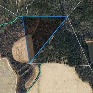 GIS view of the proposed 10.1 acres.