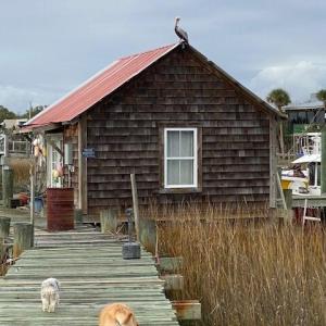 studio / dock house