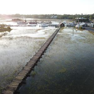 500 ft commercial dock at high tide