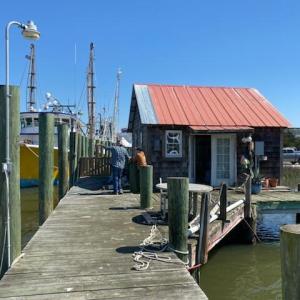 dock w dock house