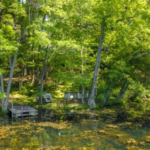 Wooded Privacy