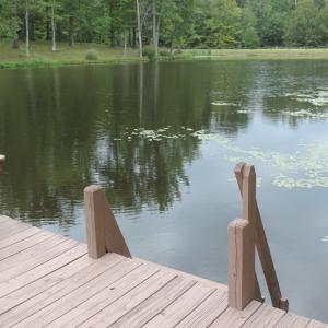 View of lake from dock