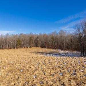 Photo #16 of 3814 S. Constitution Route 20, Dillwyn, VA 43.8 acres