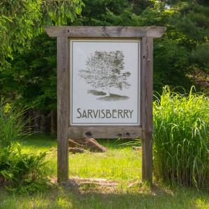 Photo #3 of 174 Sarvisberry Ln, Floyd, VA 29.6 acres