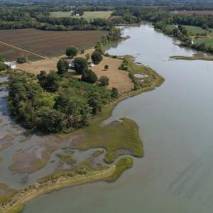 Photo #8 of 2598 CHERRYSTONE RD, CAPE CHARLES, VA 94.7 acres