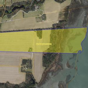 Photo #3 of 18417 SEASIDE RD, CAPE CHARLES, VA 467.3 acres