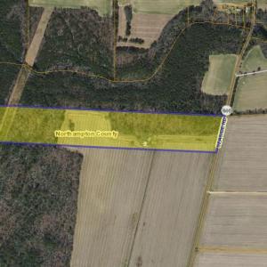 Photo #6 of 18417 SEASIDE RD, CAPE CHARLES, VA 467.3 acres