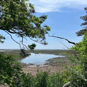 Photo #7 of 18417 SEASIDE RD, CAPE CHARLES, VA 467.3 acres