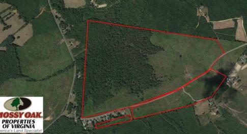 Photo of UNDER CONTRACT!  203 Acres of Hunting Land For Sale in Pittsylvania County VA!