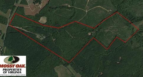 Photo of UNDER CONTRACT!  174 Acres of Hunting Land For Sale in Pittsylvania County VA!