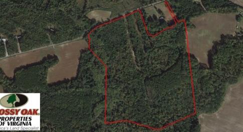 Photo of SOLD!  62 Acres of Hunting Land with Home Site For Sale in Suffolk Virginia!
