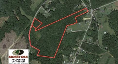 Photo of SOLD!!  21 Acres of Hunting and Timber Land for Sale in Patrick County VA!