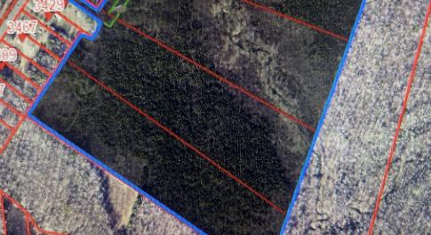 all four parcels highlighted