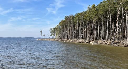 Water Frontage Pungo