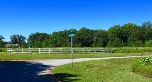 Paddock Drive - Lot 4 Waterfront