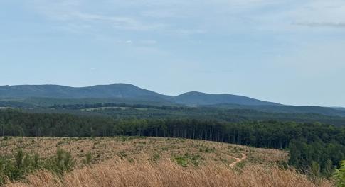Blue Ridge Mountain Views